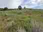 Pocatello Real Estate - MLS #582952 - Photograph #35