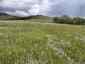 Pocatello Real Estate - MLS #582952 - Photograph #12