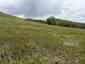 Pocatello Real Estate - MLS #582952 - Photograph #13