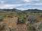 Pocatello Real Estate - MLS #582970 - Photograph #46