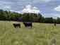 Pocatello Real Estate - MLS #582970 - Photograph #12