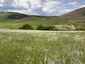 Pocatello Real Estate - MLS #582970 - Photograph #21