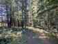 Pocatello Real Estate - MLS #582974 - Photograph #6