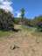 Pocatello Real Estate - MLS #582974 - Photograph #9