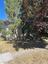 Pocatello Real Estate - MLS #583037 - Photograph #2