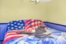 Pocatello Real Estate - MLS #583046 - Photograph #23