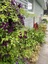 Pocatello Real Estate - MLS #583051 - Photograph #5
