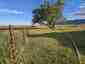 Pocatello Real Estate - MLS #583052 - Photograph #3