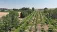 Pocatello Real Estate - MLS #583285 - Photograph #10
