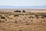Pocatello Real Estate - MLS #583445 - Photograph #38