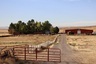 Pocatello Real Estate - MLS #583445 - Photograph #5
