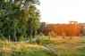 Pocatello Real Estate - MLS #583490 - Photograph #4