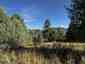 Pocatello Real Estate - MLS #583502 - Photograph #2