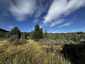 Pocatello Real Estate - MLS #583502 - Photograph #15