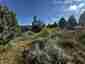 Pocatello Real Estate - MLS #583502 - Photograph #18
