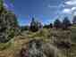 Pocatello Real Estate - MLS #583502 - Photograph #21