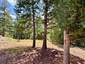 Pocatello Real Estate - MLS #583632 - Photograph #20