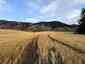 Pocatello Real Estate - MLS #583692 - Photograph #3