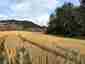 Pocatello Real Estate - MLS #583692 - Photograph #4