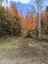 Pocatello Real Estate - MLS #583816 - Photograph #19