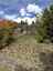 Pocatello Real Estate - MLS #583816 - Photograph #20