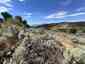 Pocatello Real Estate - MLS #583821 - Photograph #4