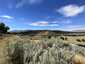 Pocatello Real Estate - MLS #583821 - Photograph #9