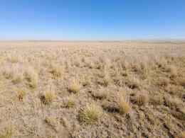 American Falls Idaho Real Estate