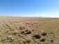 Pocatello Real Estate - MLS #583843 - Photograph #4
