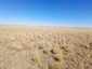 Pocatello Real Estate - MLS #583843 - Photograph #9
