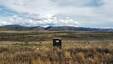 Pocatello Real Estate - MLS #583844 - Photograph #8