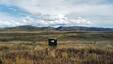 Pocatello Real Estate - MLS #583844 - Photograph #12
