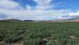 Pocatello Real Estate - MLS #583845 - Photograph #5