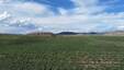 Pocatello Real Estate - MLS #583845 - Photograph #8