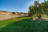 Pocatello Real Estate - MLS #583850 - Photograph #41