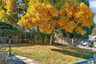 Pocatello Real Estate - MLS #583892 - Photograph #36