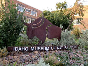 Idaho Museum of Natural History