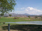 Pocatello Real Estate - MLS # - Photograph #22